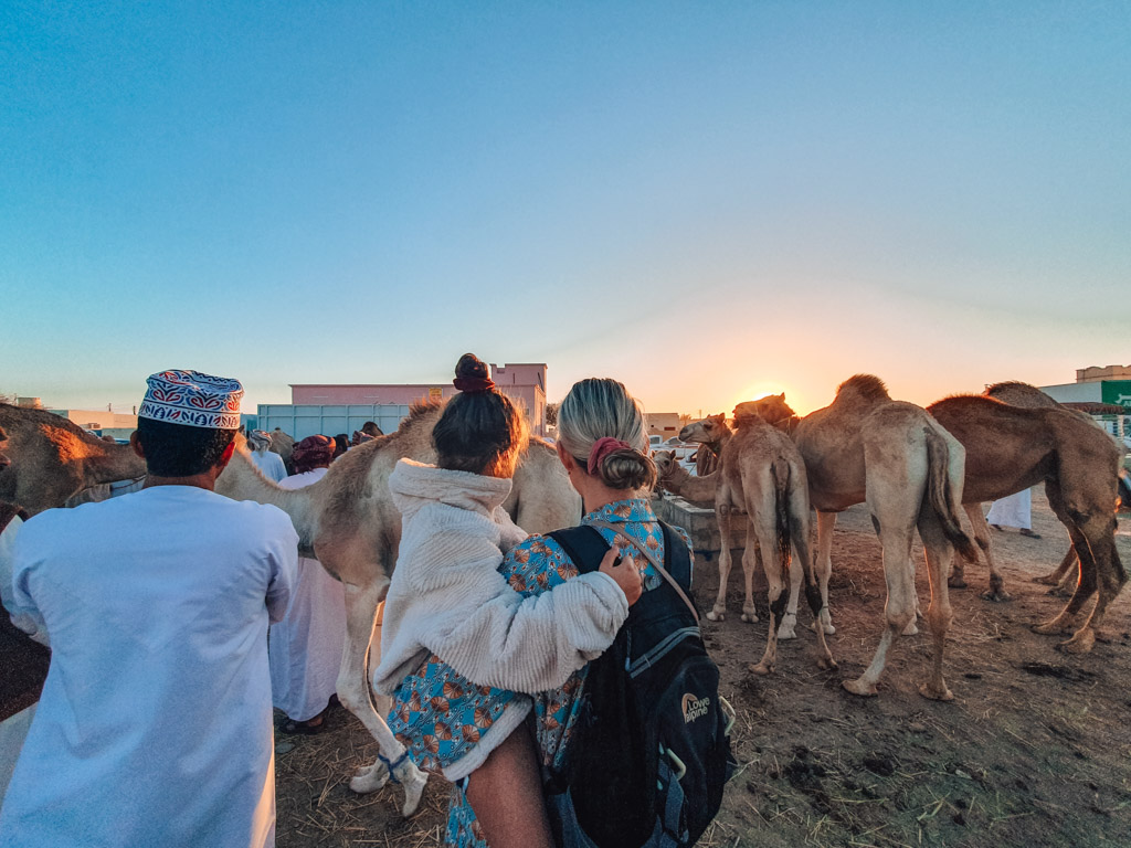Kamelenmarkt Sinaw Oman in de ochtend met kinderen