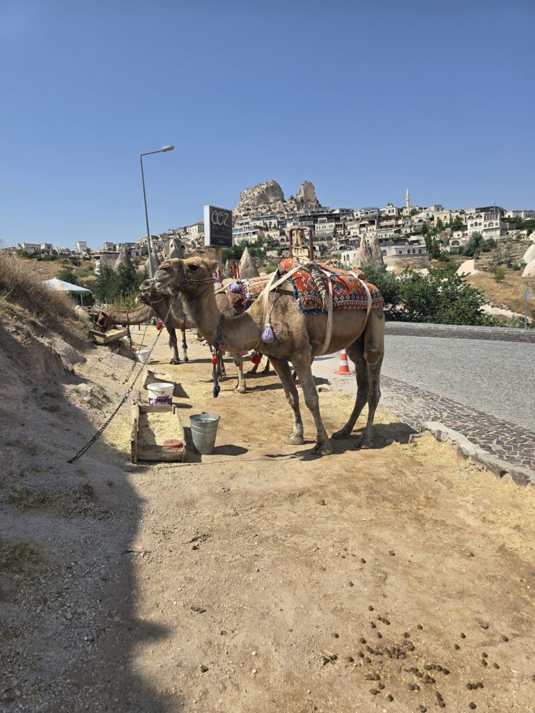 Cappadocië met kinderen