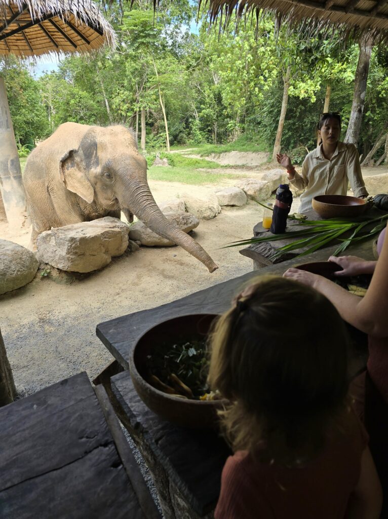 Koh Phangan met kinderen