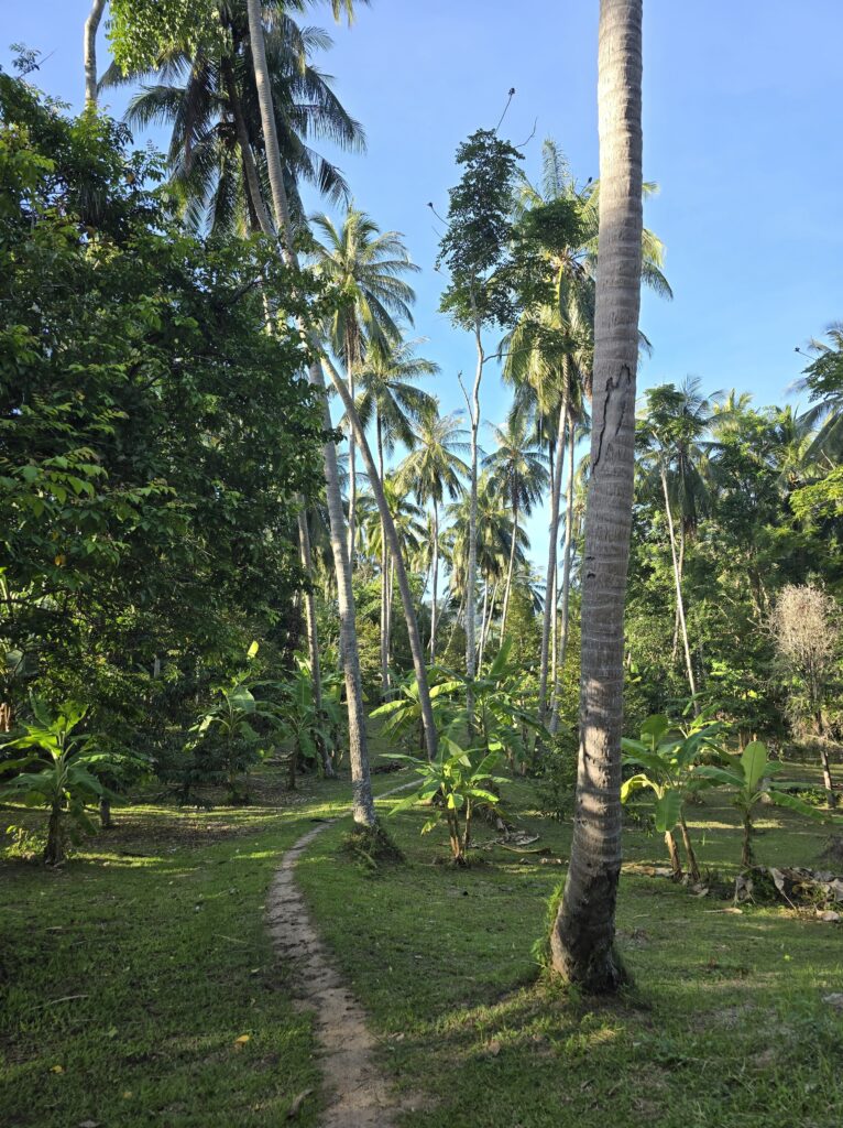 Koh Phangan met kinderen