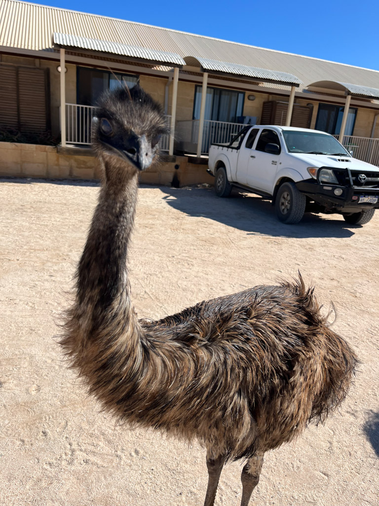 West- Australie met kinderen