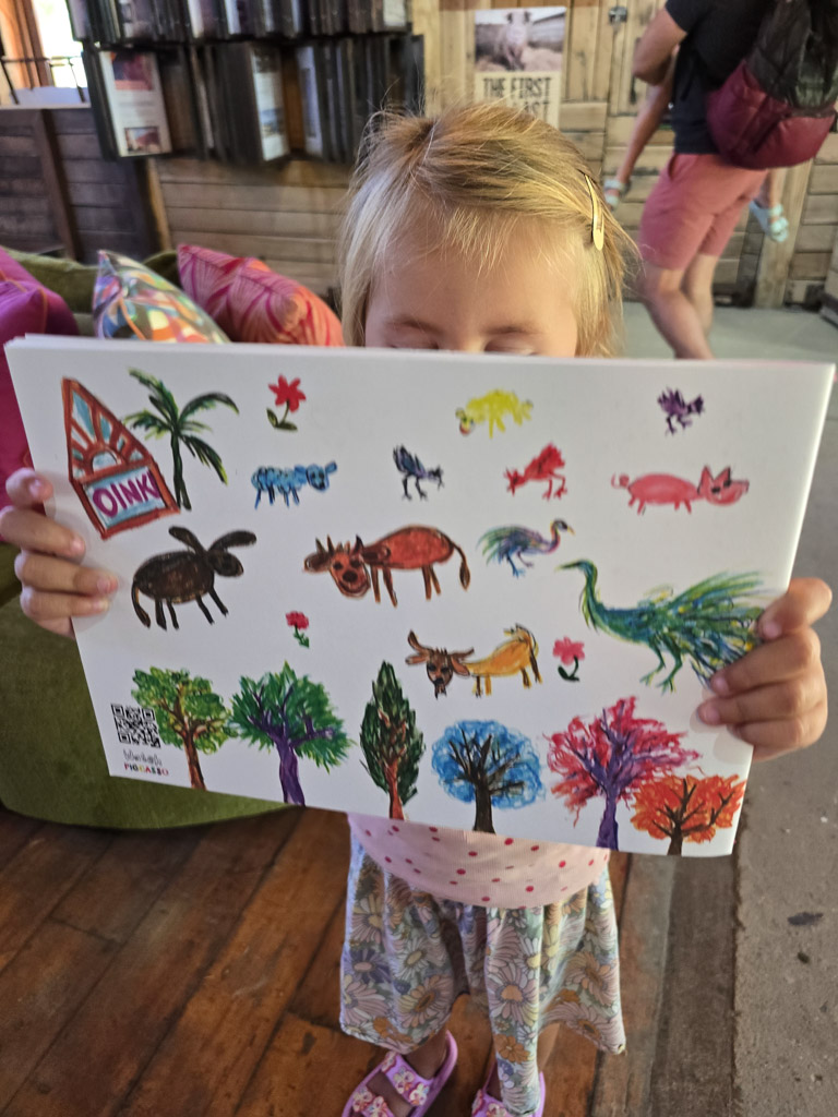 Wijnregio Zuid- Afrika 