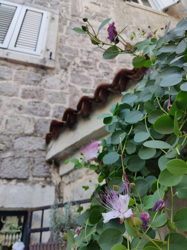 Overnachten Montenegro