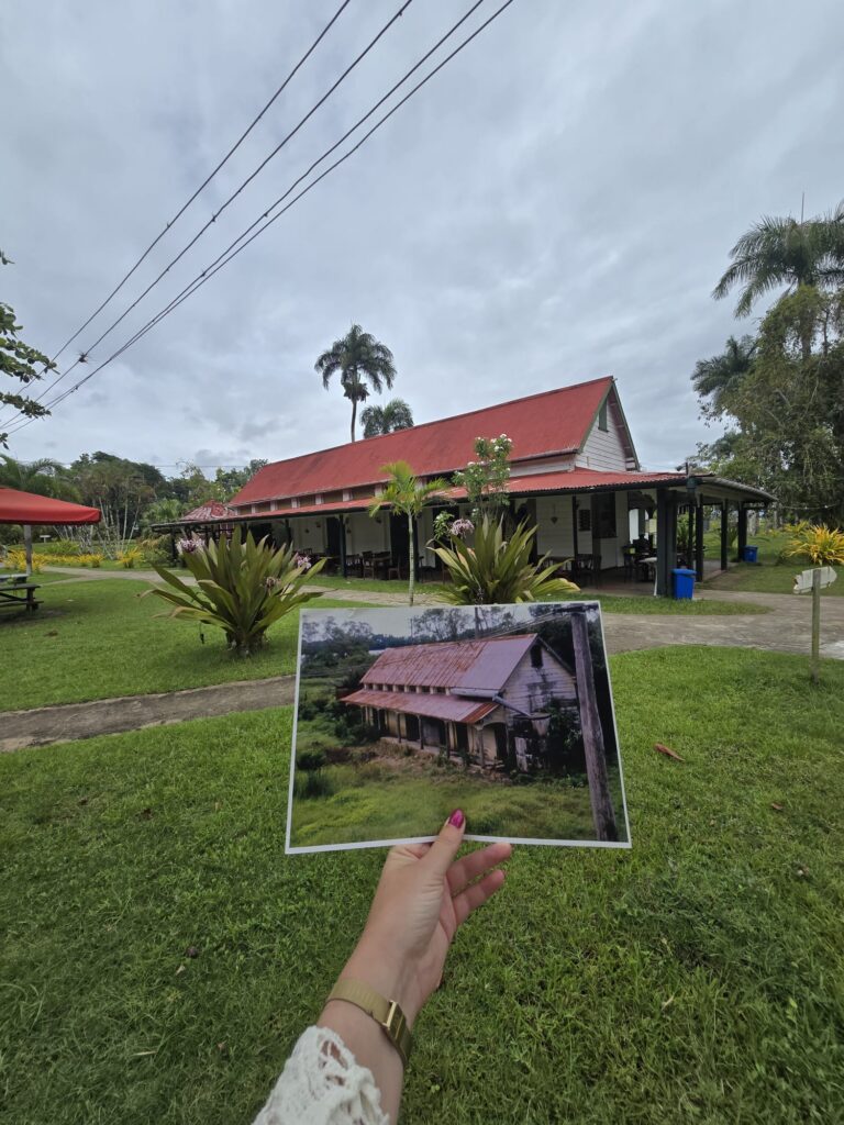 frederiksdorp suriname 