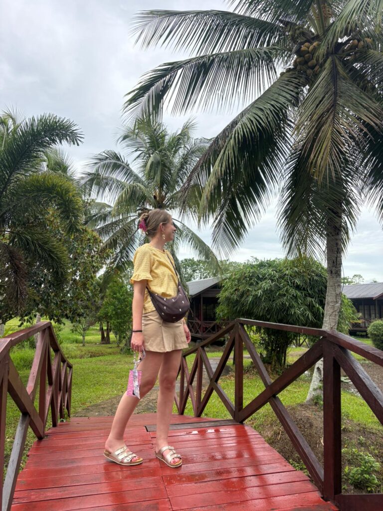 frederiksdorp suriname 