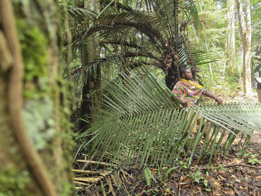 jungle suriname tour