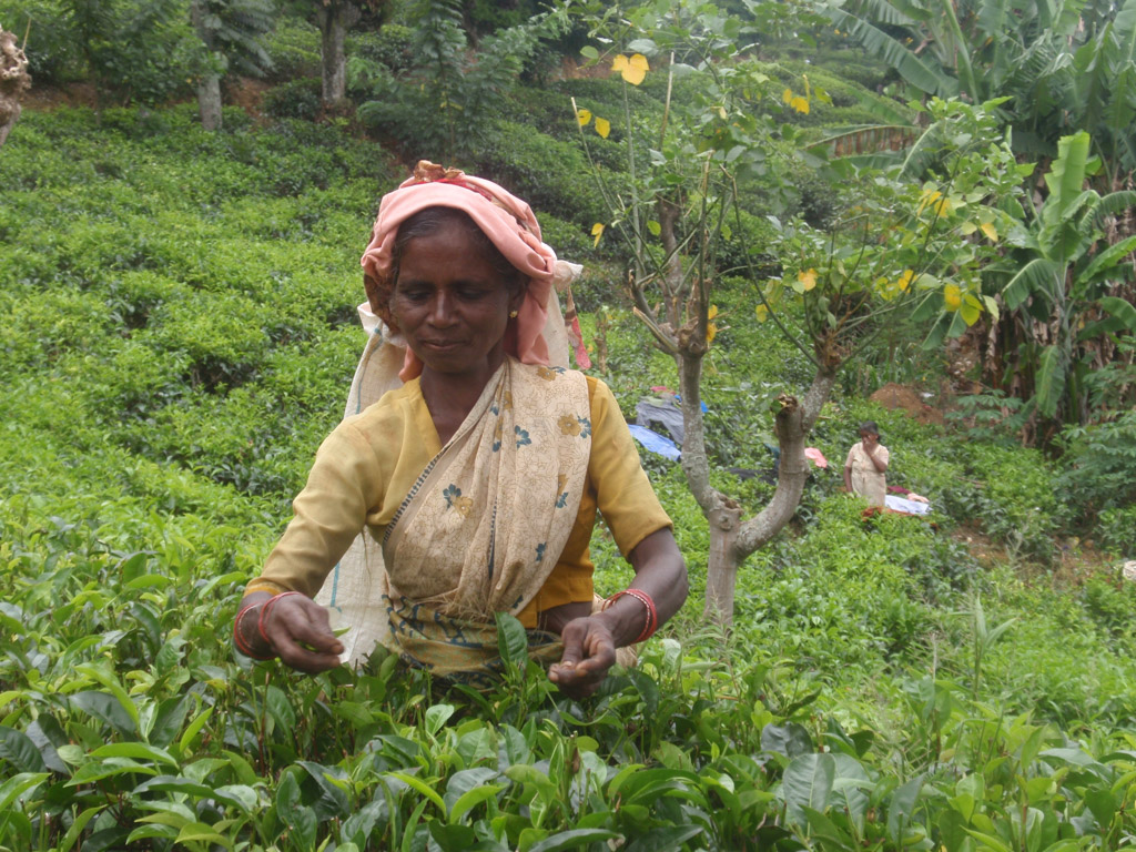 Ella Sri Lanka met kinderen