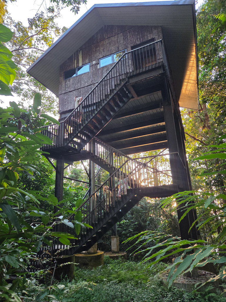 Permai Rainforest met kinderen maleisie