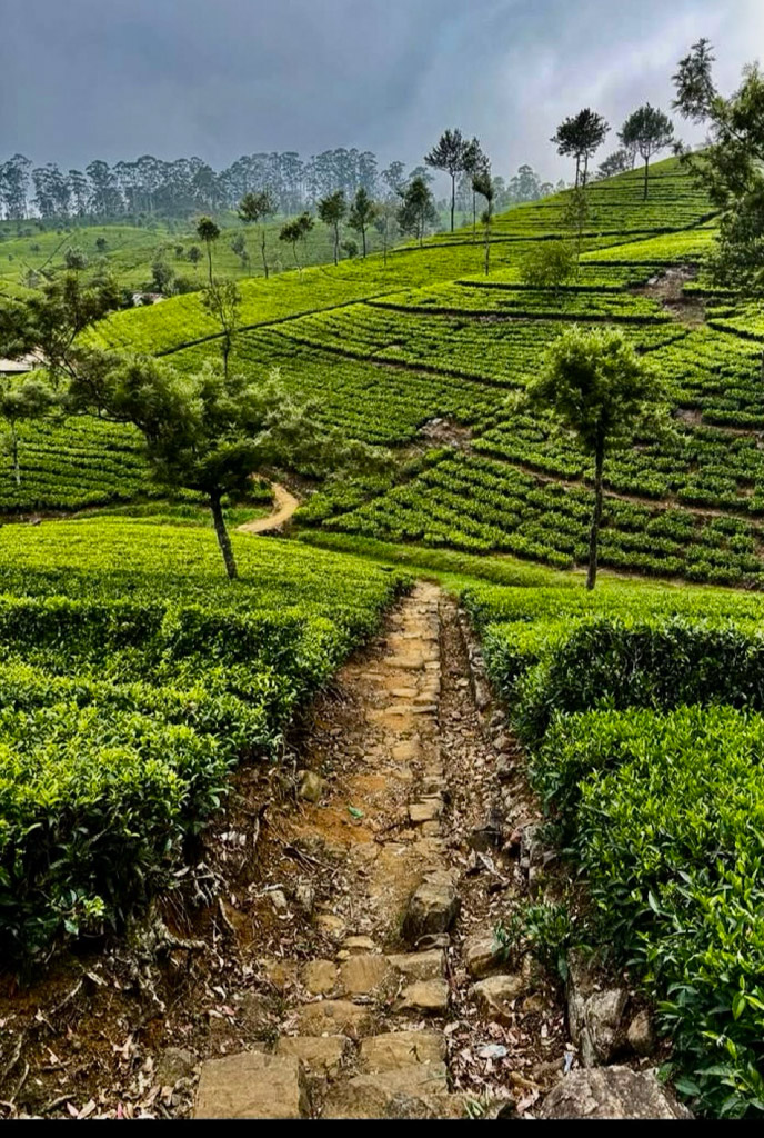 Sri Lanka met kinderen