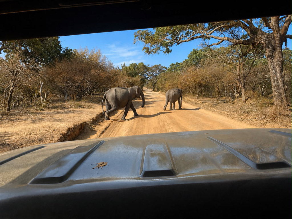 Sri Lanka met kinderen